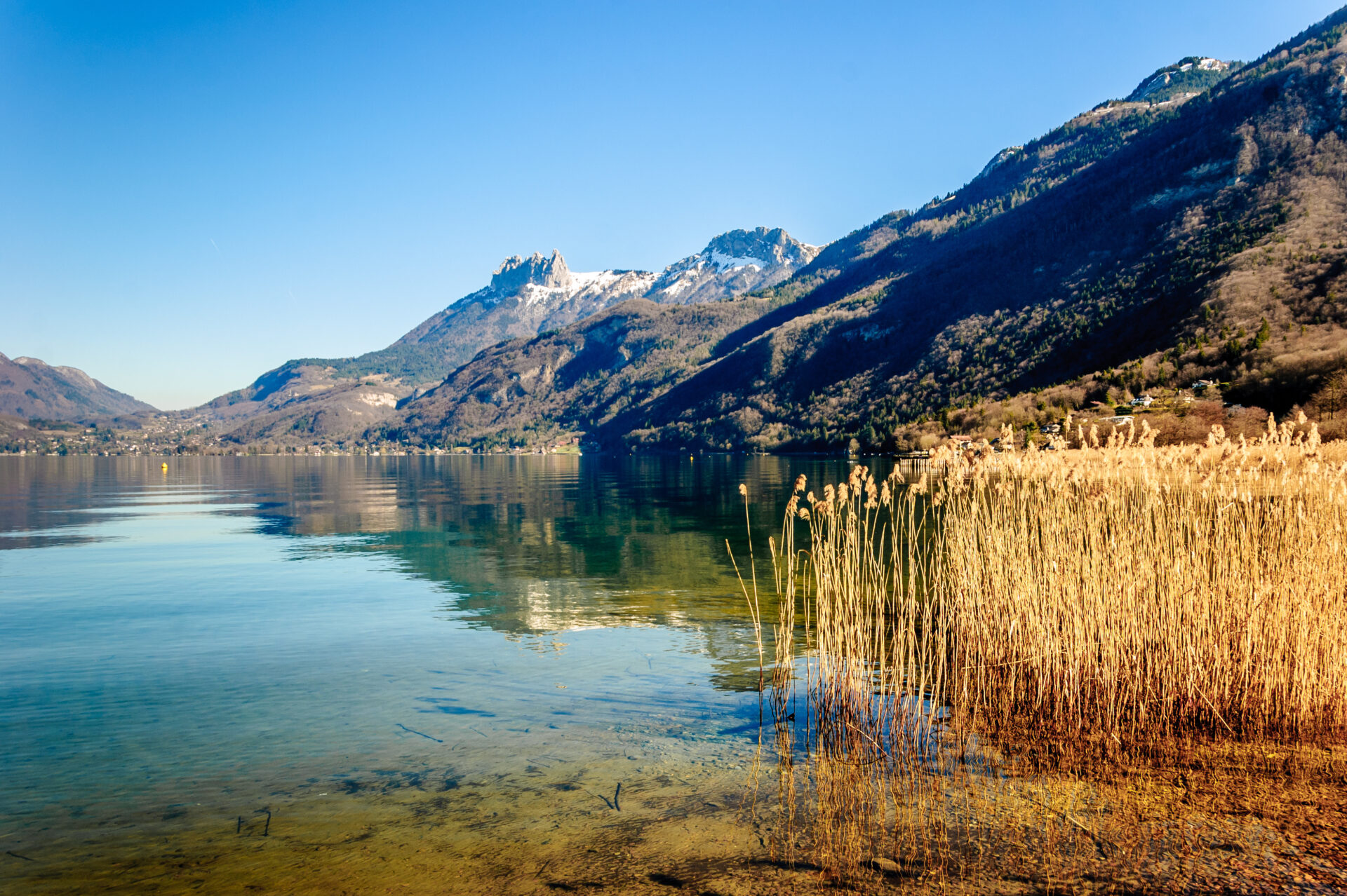 Doussard - Agence immobilière - L'agence IMMO du lac