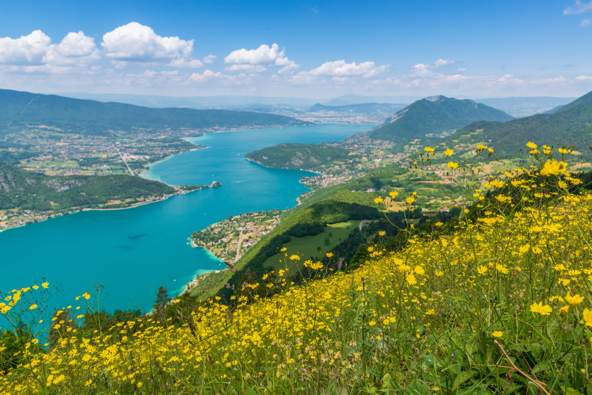 Lathuile - Agence immobilière - L'agence IMMO du lac