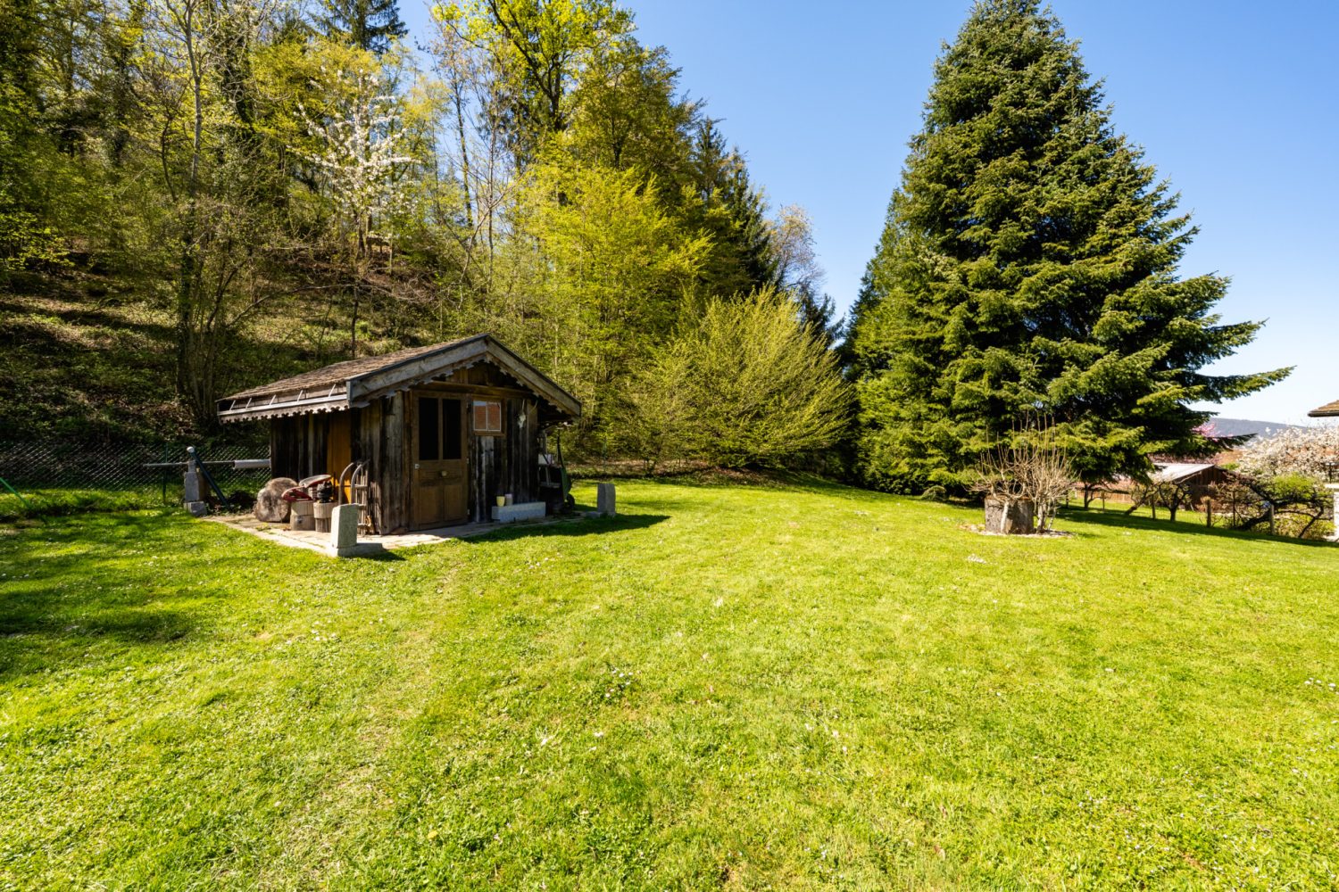 BA PHOTO- 154 Impasse du conis_ST JORIOZ-6