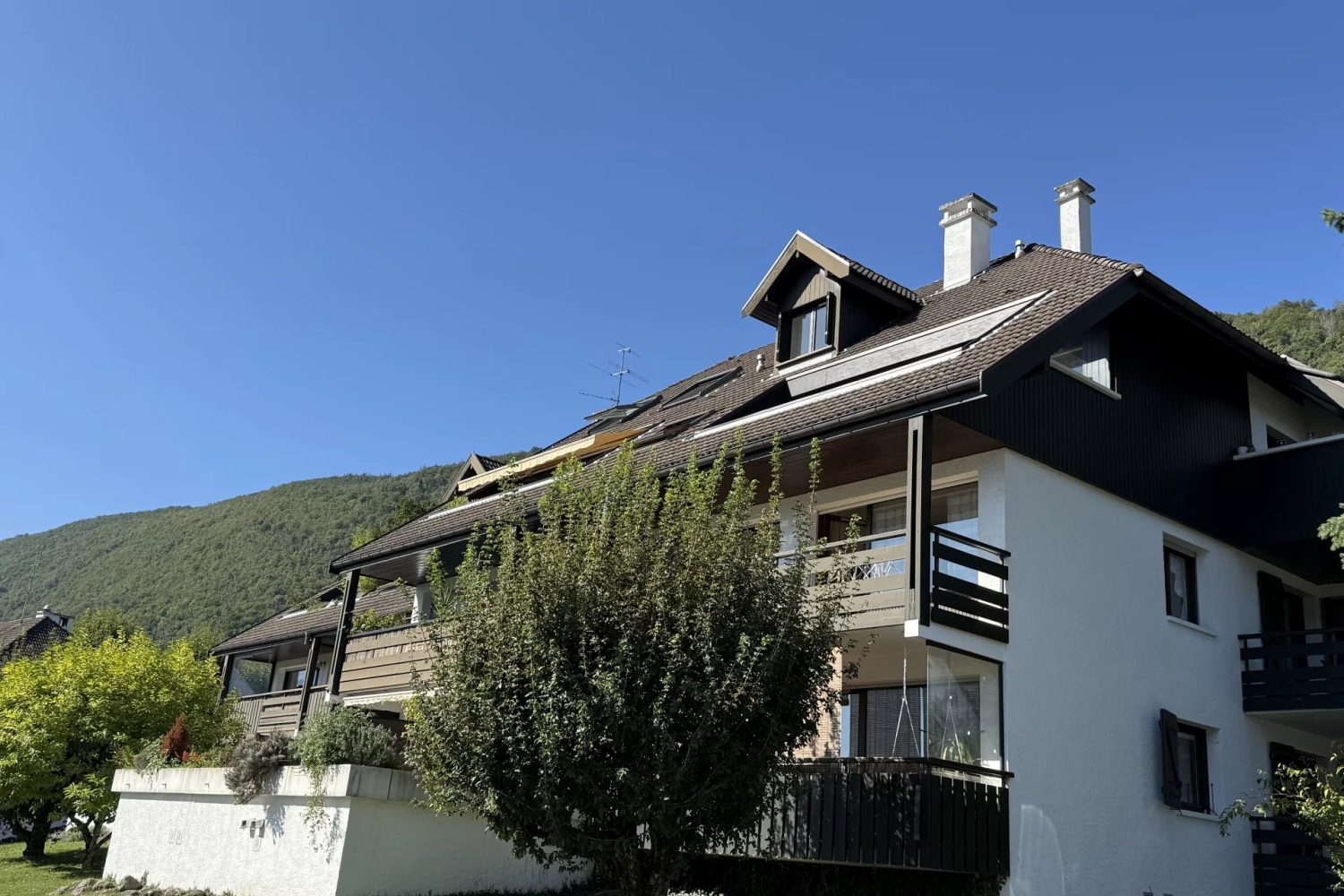 Picture-86242771-2 (1)