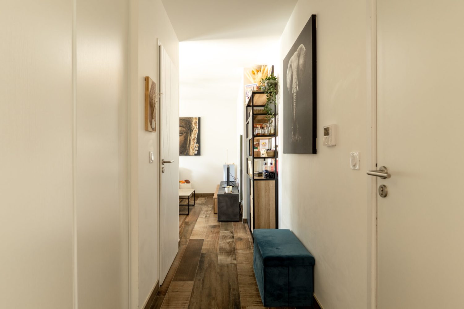 T3centrevillesevrierdoublegaragegrandbalconascenseurlac (5)