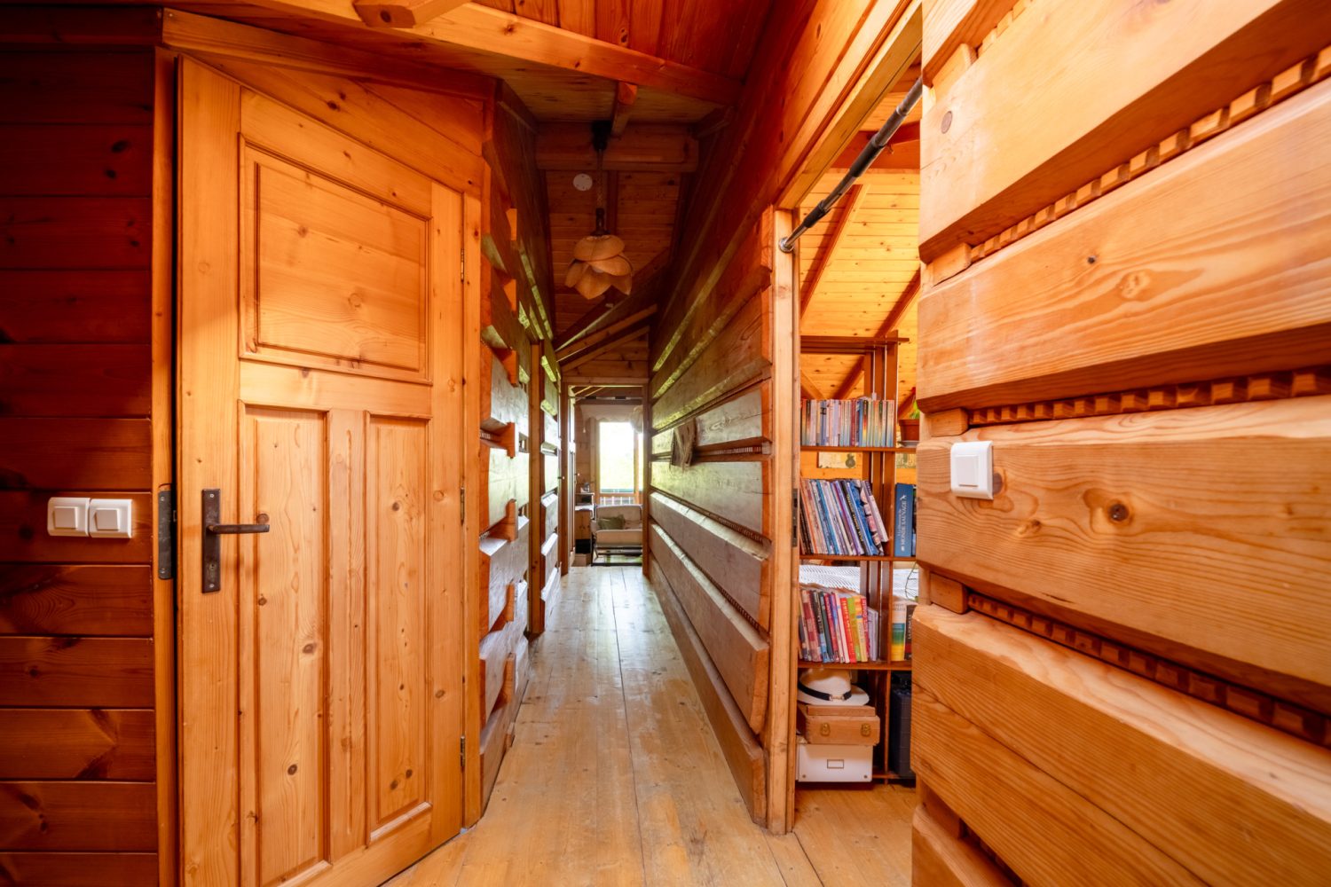 Chalet avec vue lac à Saint-Jorioz en exclusivité - L'agence IMMO du lac