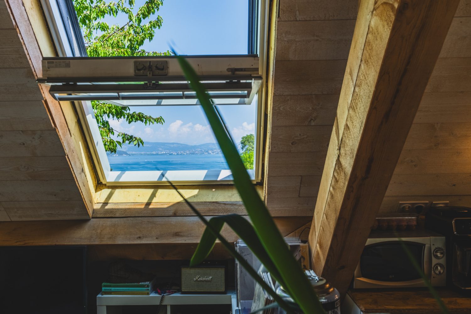Triplex à vendre à Duingt avec vue sur le lac d'Annecy et grand jardin